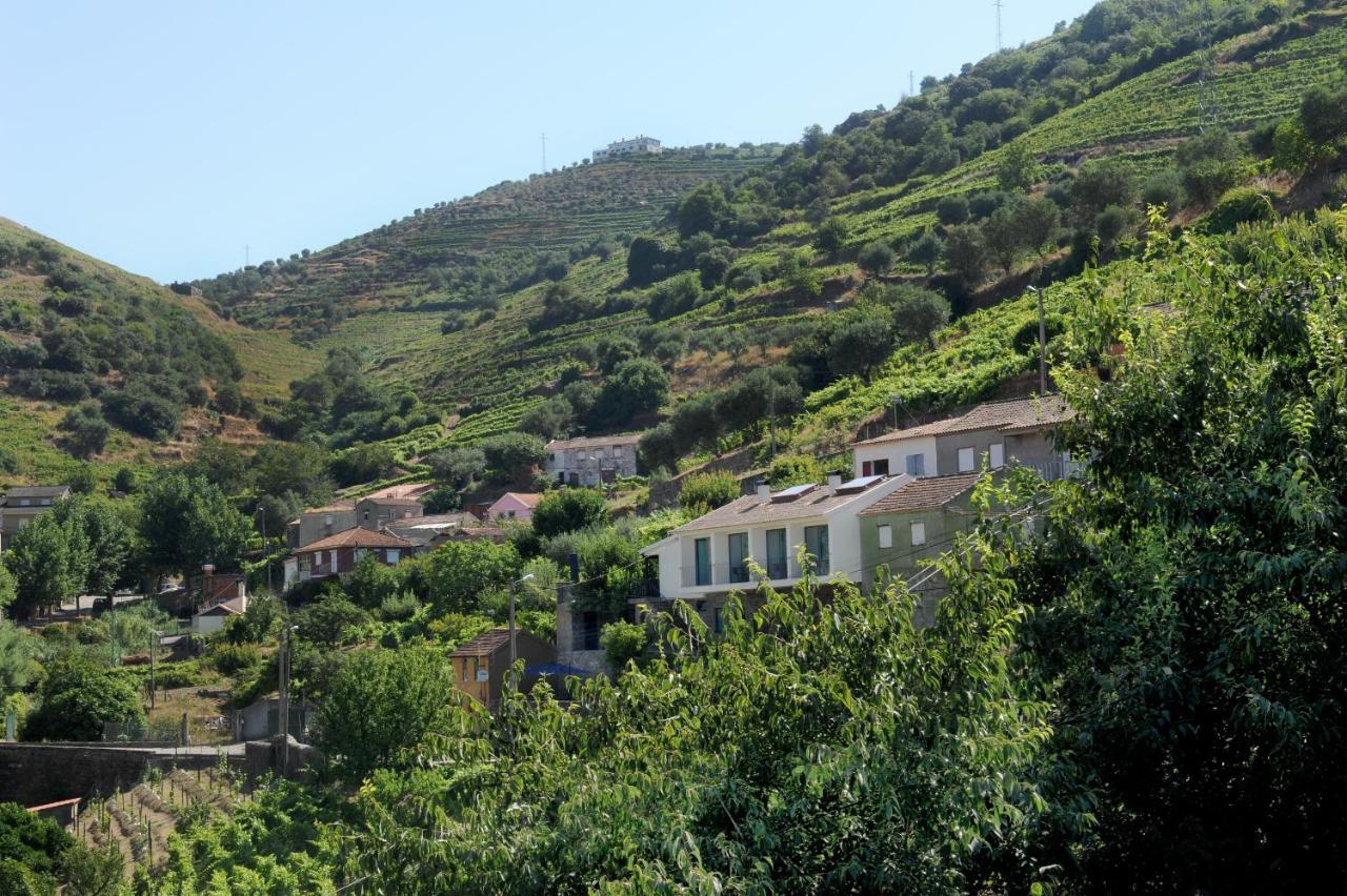 Douroxisto Aparthotel Peso da Régua Exteriör bild