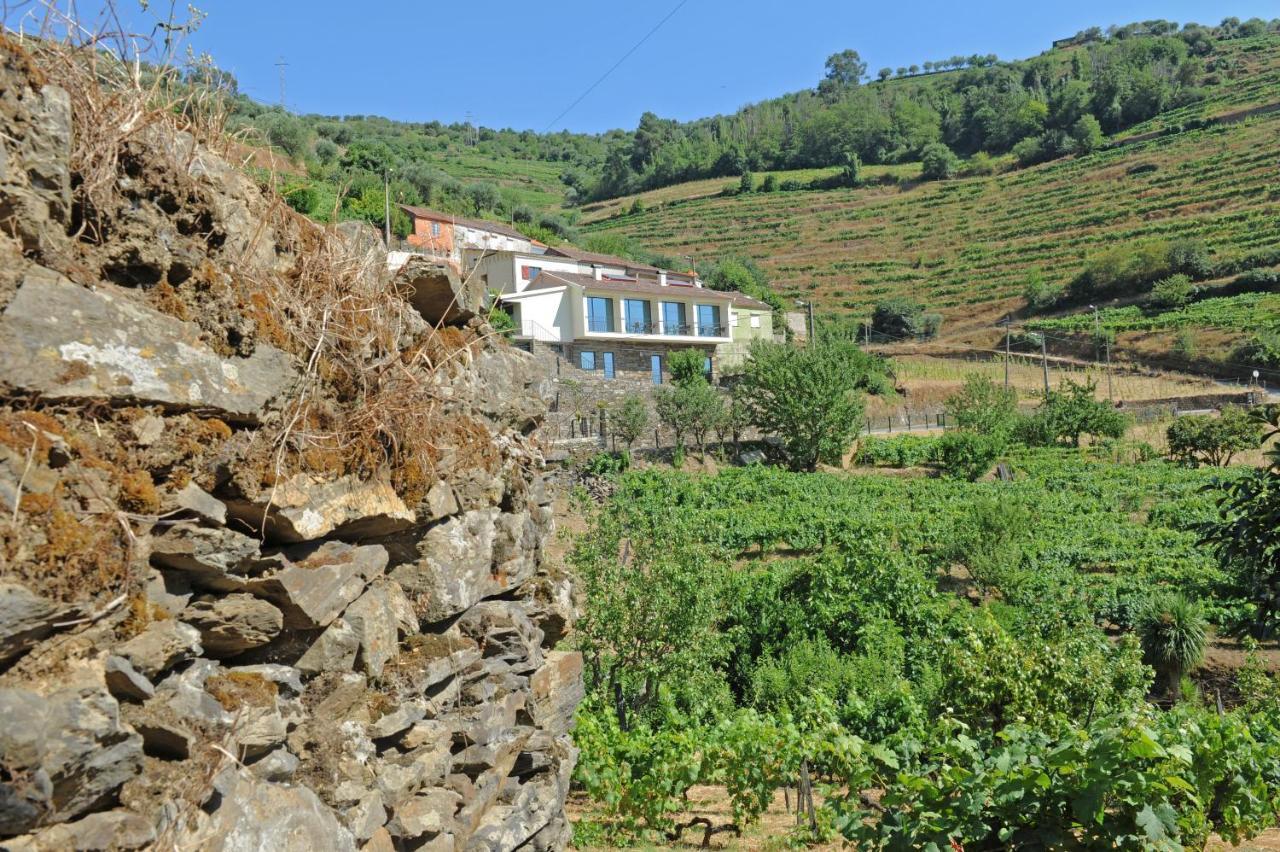 Douroxisto Aparthotel Peso da Régua Exteriör bild